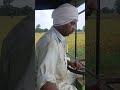 rinku ram@compare#harvasting