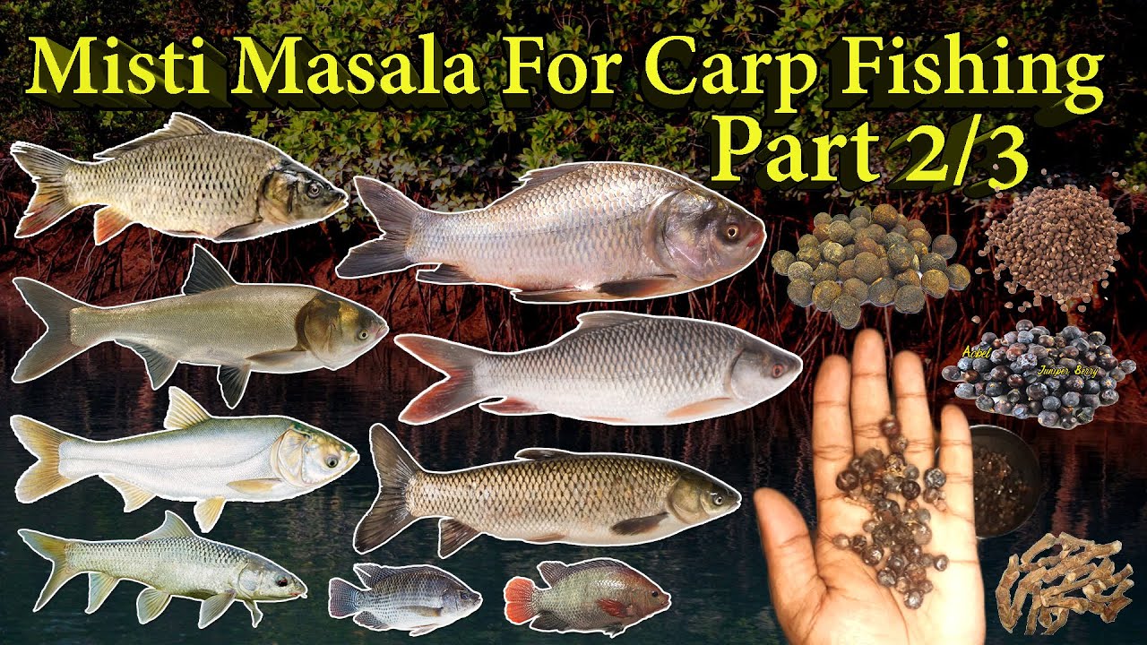 Misti Masala For Carp Fishing Part 2 of 3