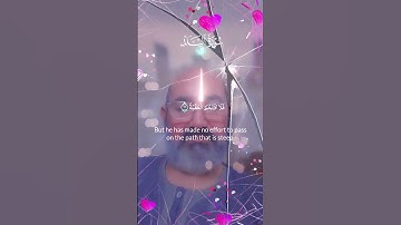سورة البلد #قران_كريم #تلاوة_خاشعة #السعودية #اكسبلور #مصر #ترند #duet