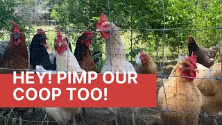 Hey Pimp Our Coop Too!