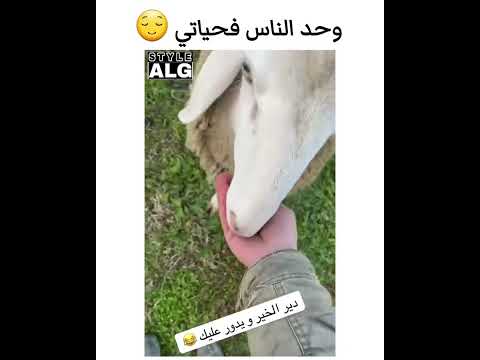 واحد ناس في حياتي