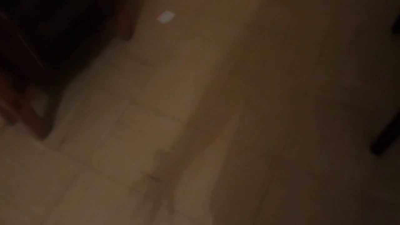 homenaje a bilobedvalle