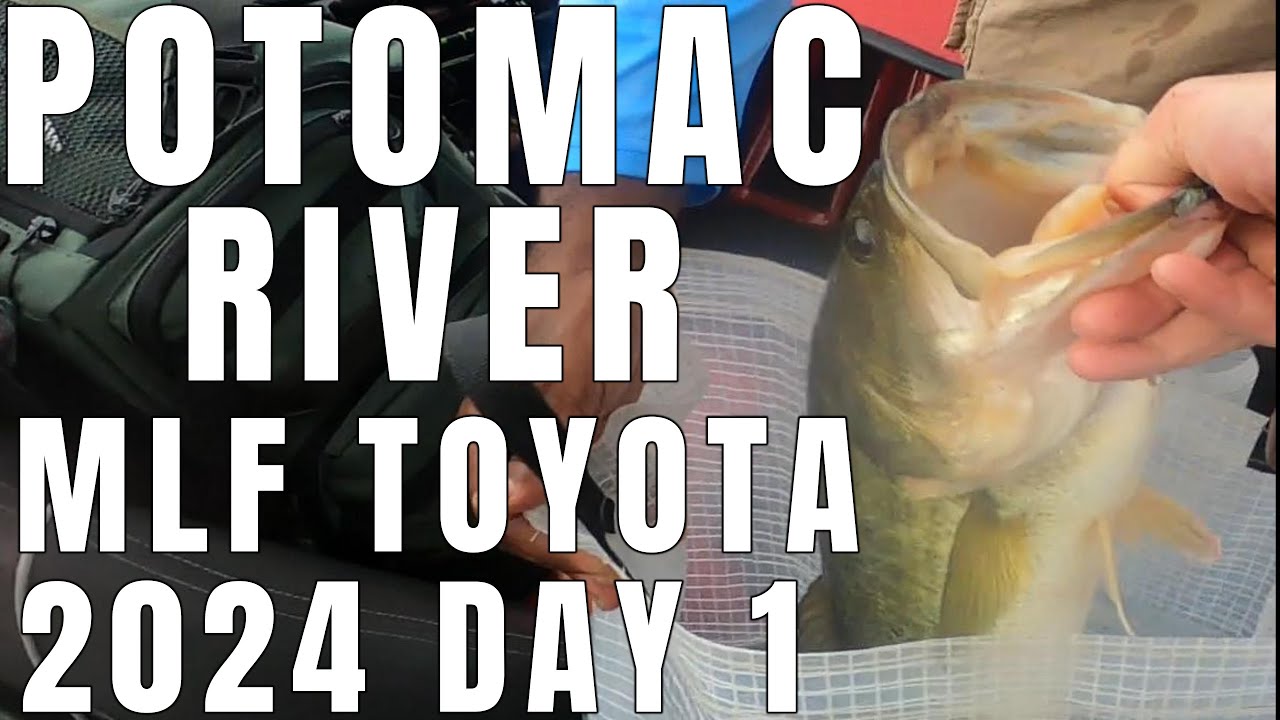 POTOMAC RIVER BASSFISHING 2024 MLF Toyota – Day 1