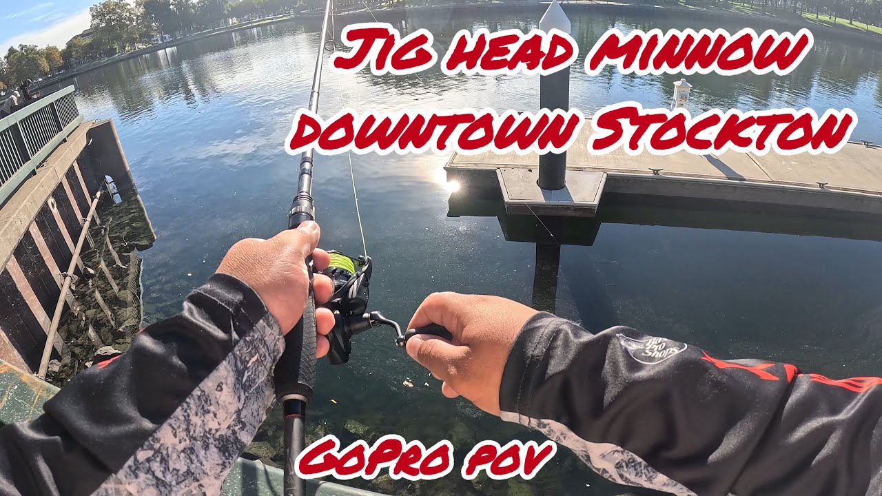 On a MISSION To Catch My First Minnow Bass !!