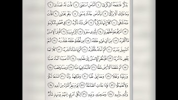 سورة عبس | هيثم الدخين