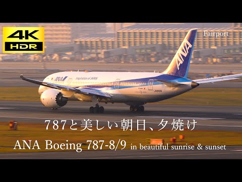 【4k】【飛行機動画】 ANA Boeing 787-8/9 Dreamliner in beautiful sunrise & sunset /ANA B787と美しい朝日と夕焼けシーン