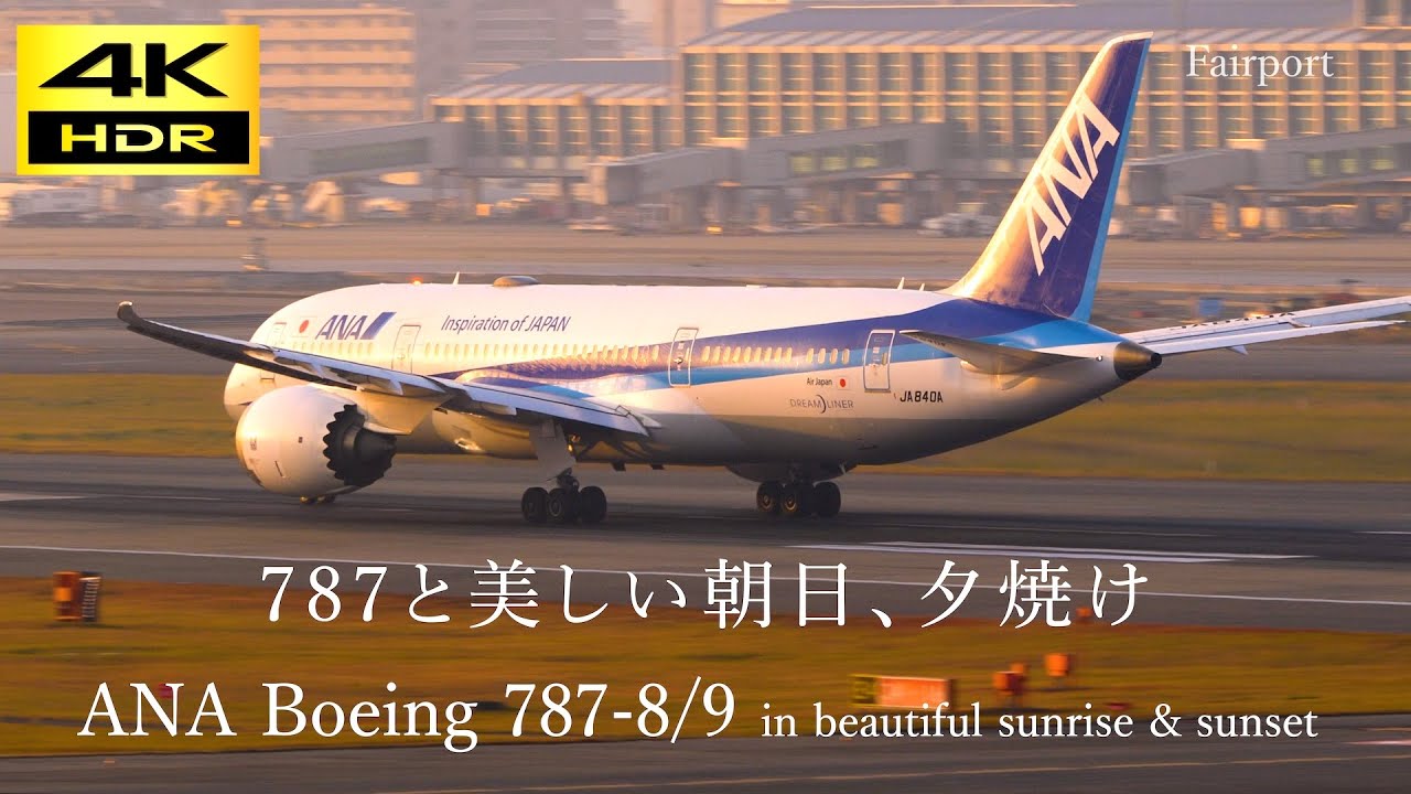 【超美品】全日空商事 ANA B787-8 DREAMLINER NH20048 Amazon.com: Hasegawa 1/200 ANA B787-8 Plastic Model 16