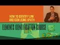 Web Elements (Free Course 2018) - How to Identify Link and Icon Using XPath