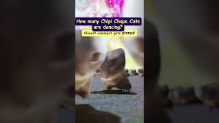 How many Chipi Cats can you see? #shorts @Toxiqmeme