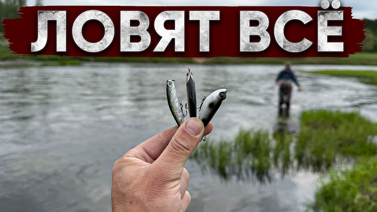 Приманки и снасти которые ТВОРЯТ ЧУДЕСА! Чуть не сбил ОГРОМНУЮ ЗВЕРЮГУ!