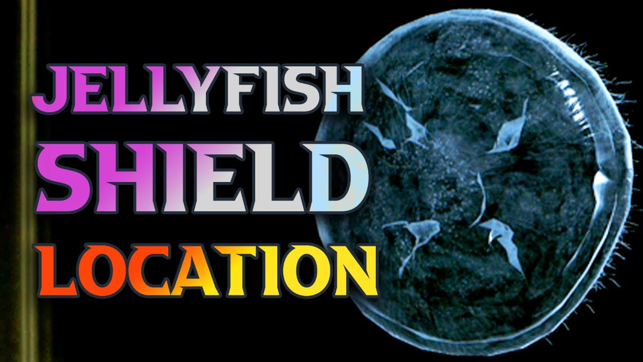 How To Find The Elden Ring Jellyfish Shield Location YouTube