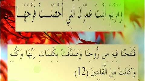 القران الكريم سورة التحريم الأية 12.wmv
