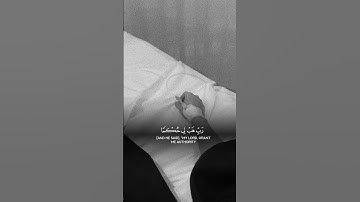 القران الكريم راحه نفسيه 😊 #المصحف #الرحمن #راحة_نفسية  #اكسبلور #لايك