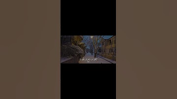 قُلْ إِنَّ الْأَوَّلِينَ وَالْآخِرِينَ 🤍✨️ #القرآن_الكريم #تلاوة #خشوع #طمأنينة #سورة_الواقعة #آية