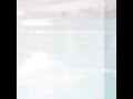 استاد طنطا