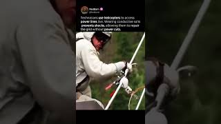 Maintaining Power Lines at Height