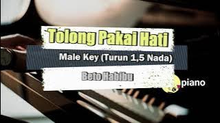 Tolong Pakai Hati - Karaoke - Male Key - Turun nada ok