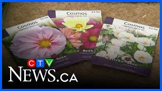 The Garden Guide