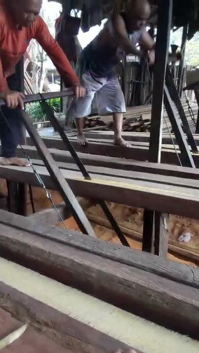 gergaji manual #Kelua kayu ulin#kayukalimantan