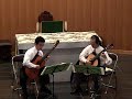 Brahms : Theme & Variations - Seiji Iwamoto & Shinichi Iwasaki