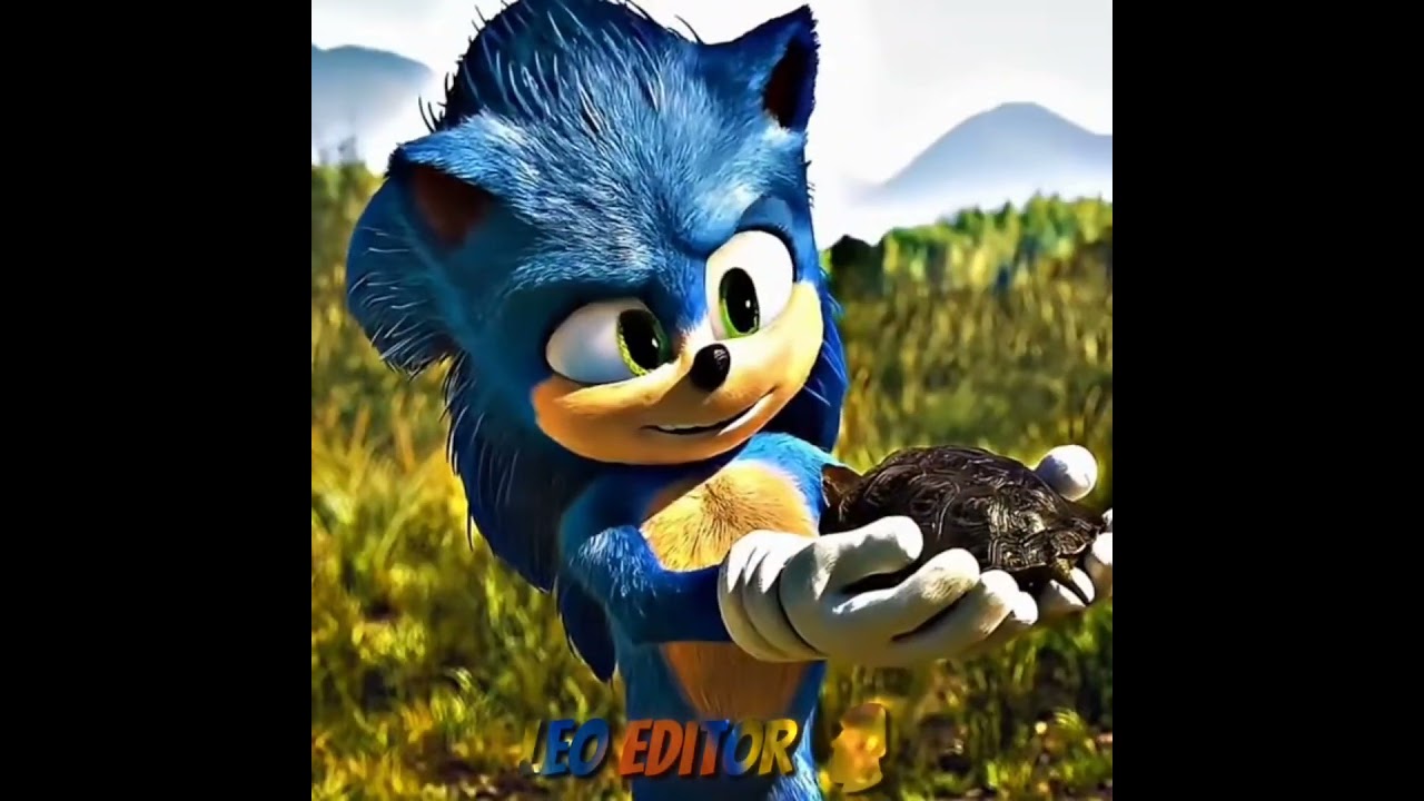 Sonic 3: The Game That Ruined SEGA Forever