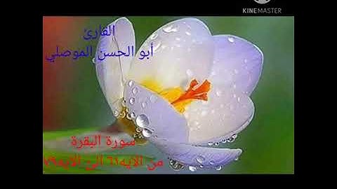 سورة البقرة من الايه ٦٢ الئ الايه٧٩ للقارئ أبو الحسن الموصلي