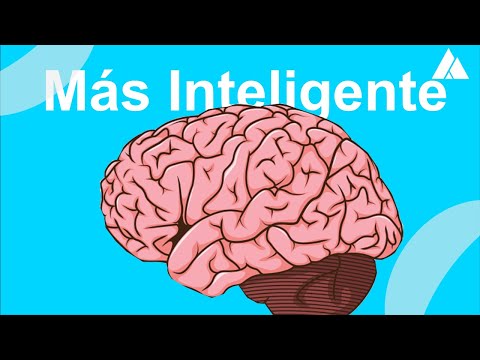 10 Pasos Para Volverte Mas Inteligente - YouTube