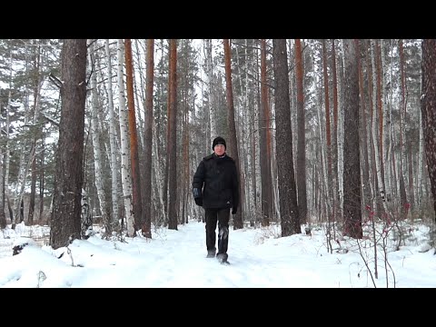 Один в лесу. Секреты выживания #1. Путь свободы