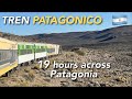 TREN PATAGONICO - Argentina's most impressive train to the Andes