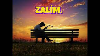 Anlamıyorsun Gönül Derdinden / Zalim [Anatolian Fonk Müsic]