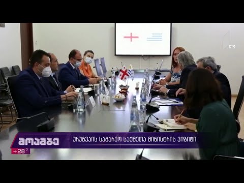 ურუგვაის საგარეო საქმეთა მინისტრის ვიზიტი