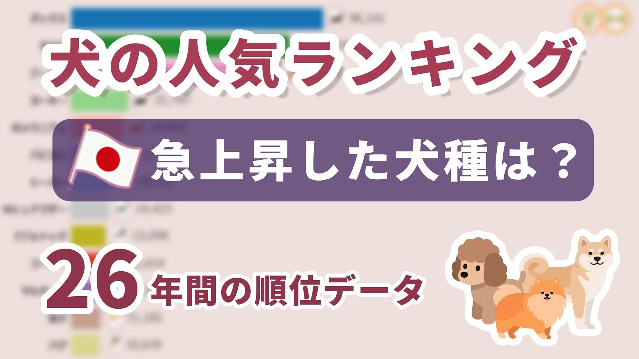 犬の出産・子犬の譲渡情報 犬種・サイズ別で探せる - dogoo com