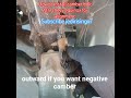 How to install camber bolts on 2013 chevy equinox for alignment #mechanic ‎⁨@jedirisingx7⁩  #camber
