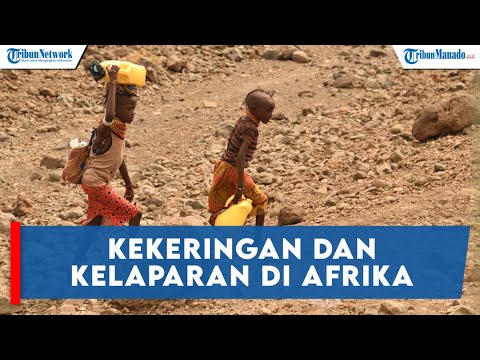 Video: Tinjauan Ringkas tentang Musim Kering dan Hujan di Afrika