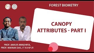 Canopy attributes - part I