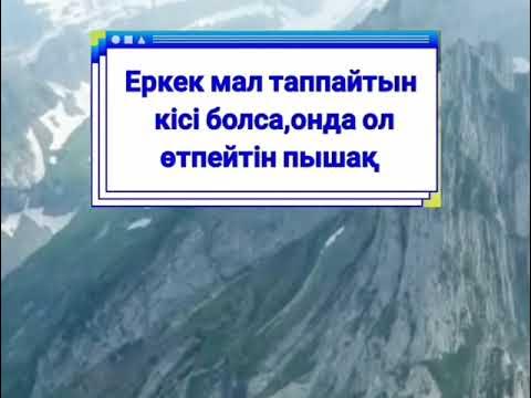 Әйел жігіттің жыныс мүшесін жұлып алды Владимир қаласының порнофотосуреттері