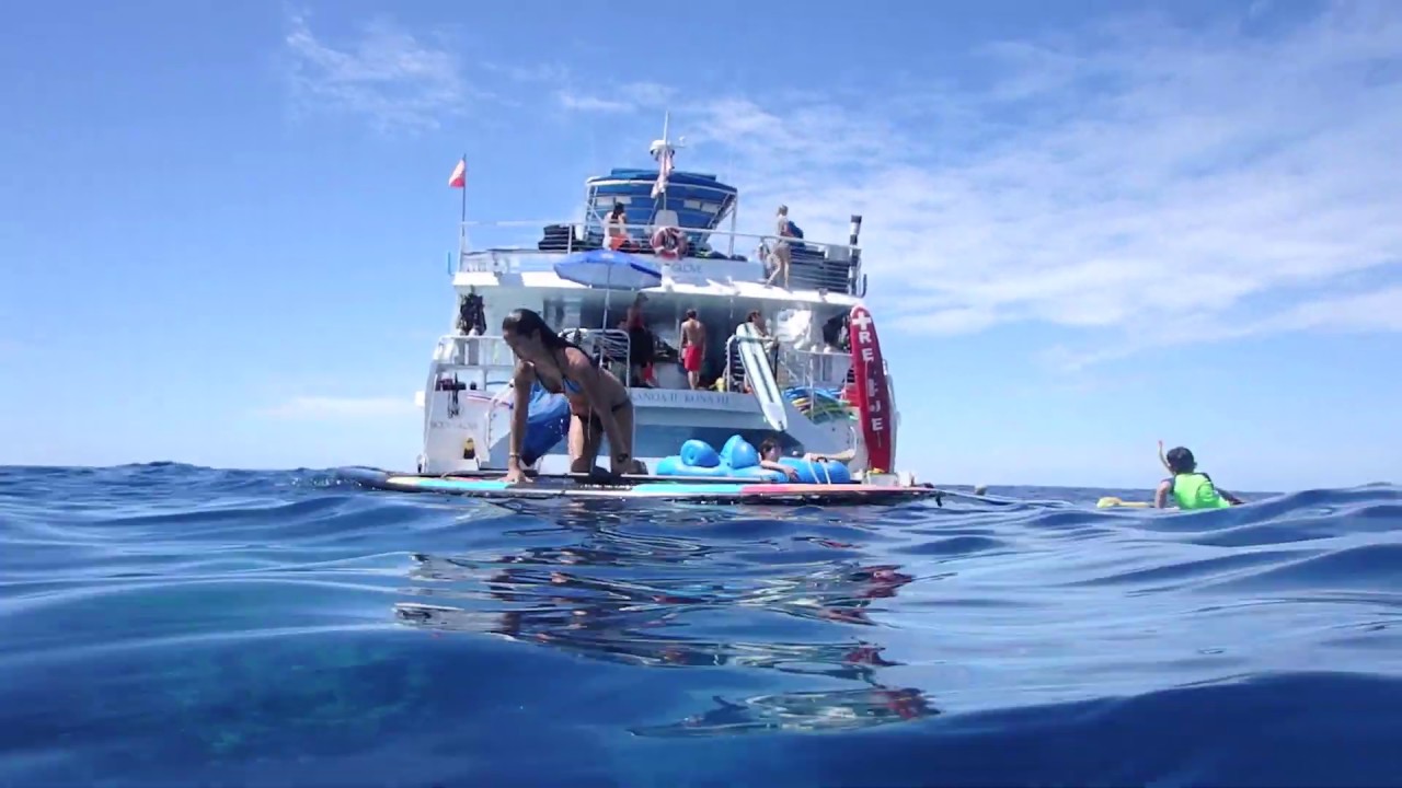 Snorkeling in Kona, Hawaii YouTube