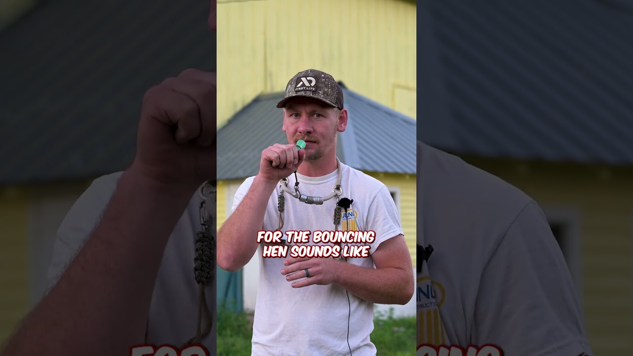 Крик прыгающей курицы — один из тех звуков, который действительно может заставить птиц замолчать,...