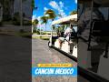 All inclusive Resort: Moon Palace The Grand Cancun Mexico #shorts