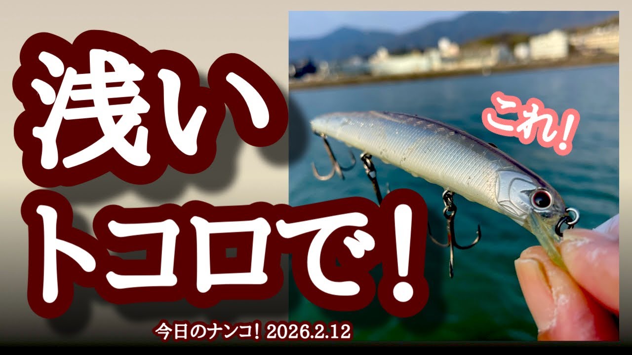 【今日のナンコ！2026.2.12】浅いトコロで！【琵琶湖バス釣り】