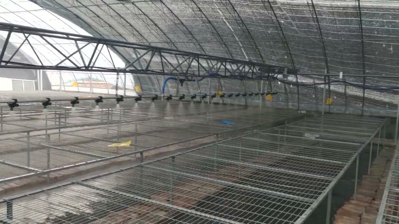 Intelligent truss sprinkler irrigation boom for greenhouse irrigation system