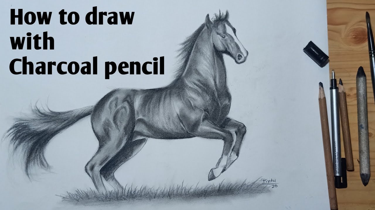 How to draw a Horse step by step | Pencil Shading Drawing - YouTube