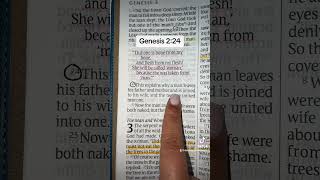 Genesis 2:24