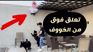 اقوى مقلب  بخوياي  فكيت الكلاب عليهم 🤣🤣