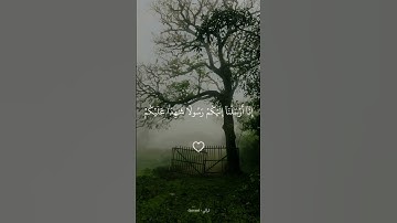 ومهلهم قليلاً #ماهر_المعيقلي #قران #اكسبلور #قران_كريم #تلاوة_خاشعة #quran