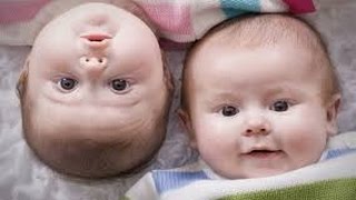 Twin Baby Boys Talking to Each Other || Twin baby talking [Funny Baby Video] by PRO GAMER 46,810 views 9 years ago 3 minutes, 16 seconds