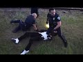 VIDEO: 2 officers assaulted while trying to break up July 4th block party in North Charleston