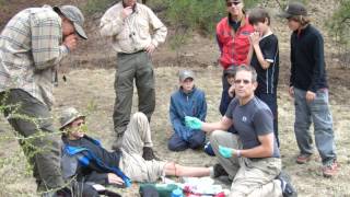 Alex Burds Eagle Slideshow.wmv