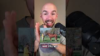 Download Lagu Secretariaat=GOAT MP3