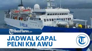 Pelni Ship Schedule KM Awu April 2026, Bima-Waingapu Departs on the 1st at 04.00